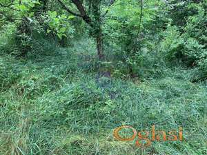 Plac 2956m2 Novi Ledinci